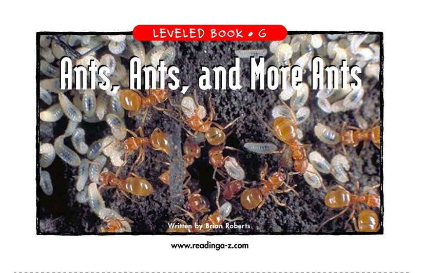 Ants,Ants,and More Ants