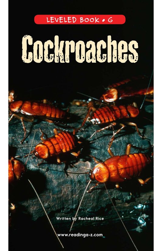 Cockroaches