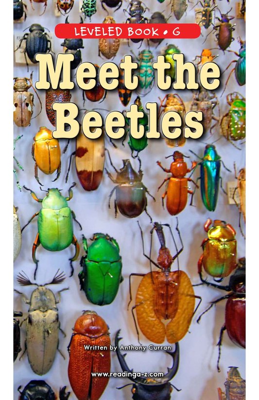 Meet the Beetles