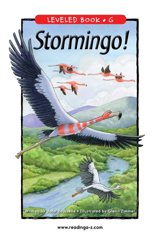 Stormingo!