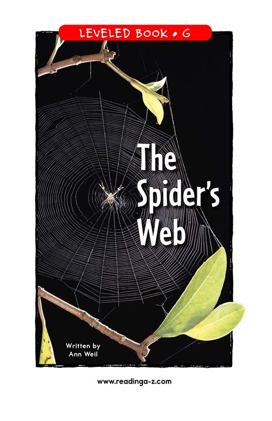 The Spider's Web