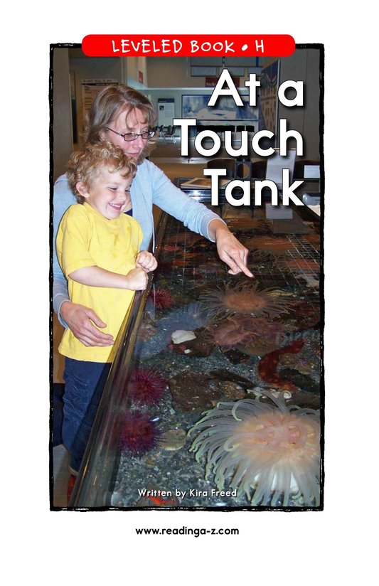 At a Touch Tank