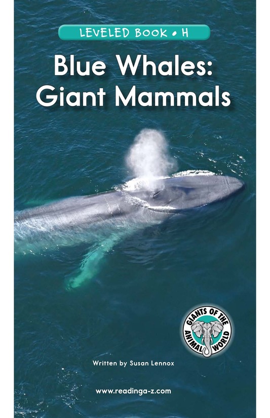 Blue Whales Giant Mammals