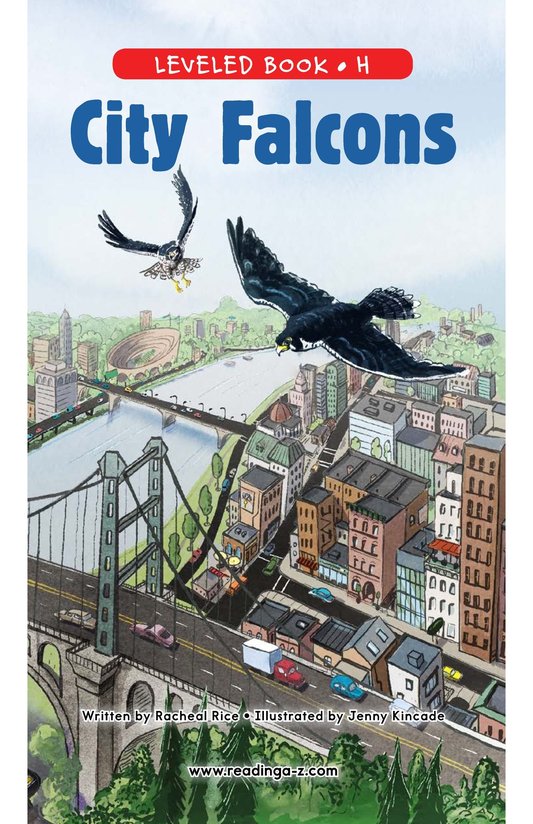 City Falcons