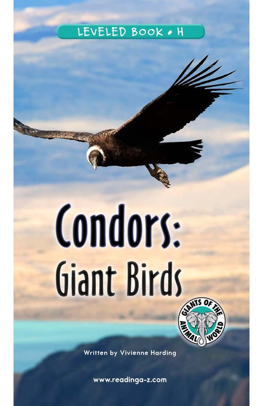 Condors Giant Birds
