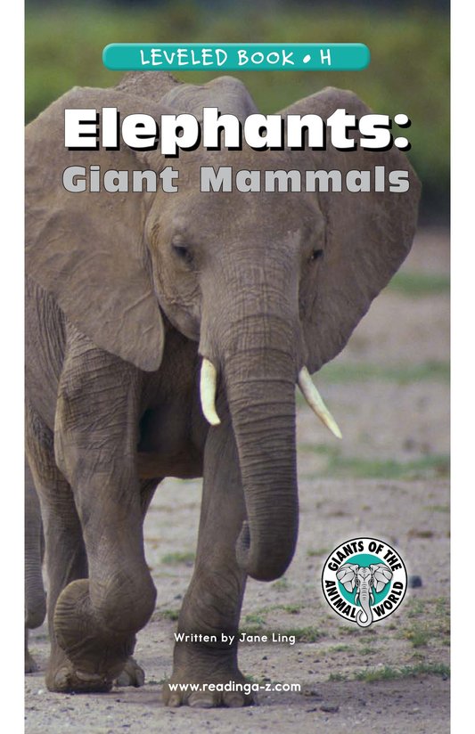Elephants Giant Mammals