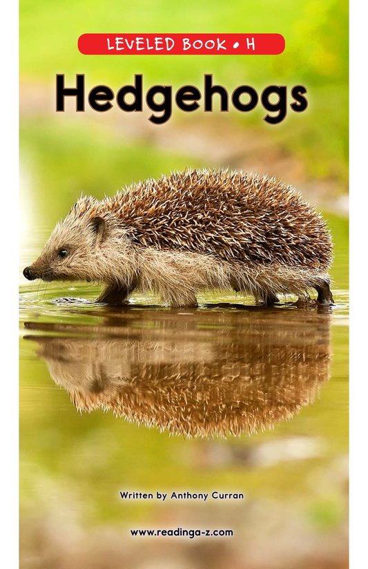 Hedgehogs
