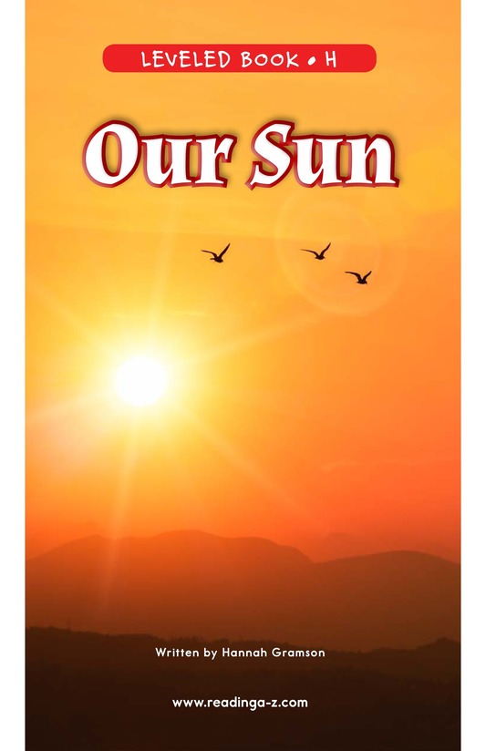 Our Sun