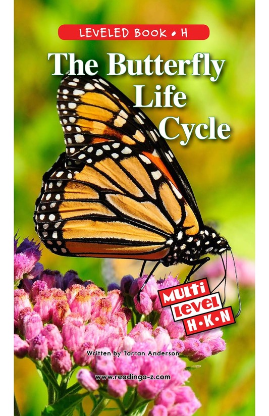 The Butterfly Life Cycle