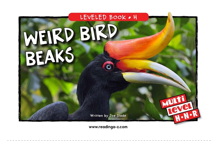 Weird Bird Beaks