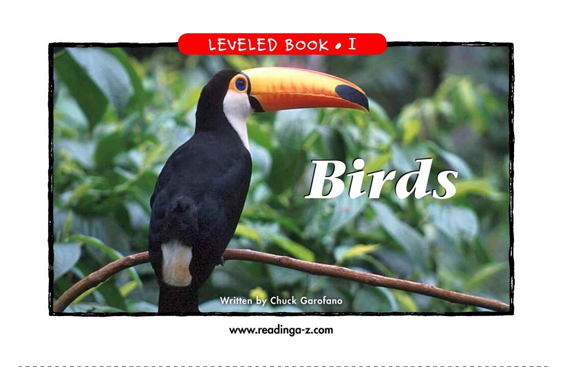 Birds