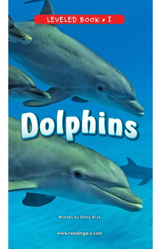 Dolphins