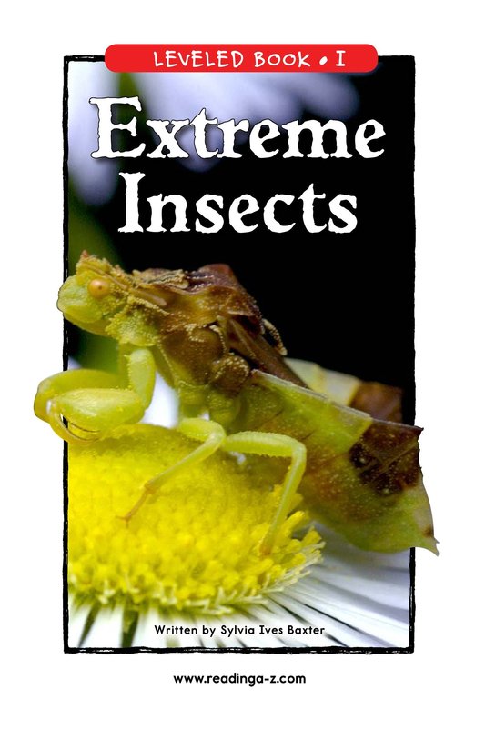 Extreme Insects