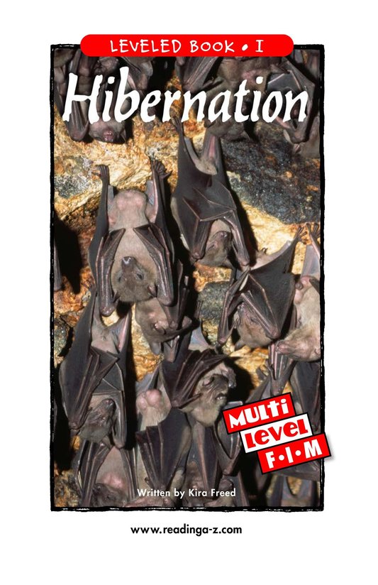 Hibernation