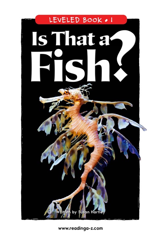 Is That a Fish