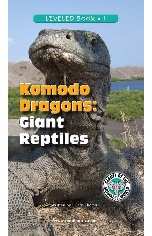 Komodo Dragons Giant Reptiles