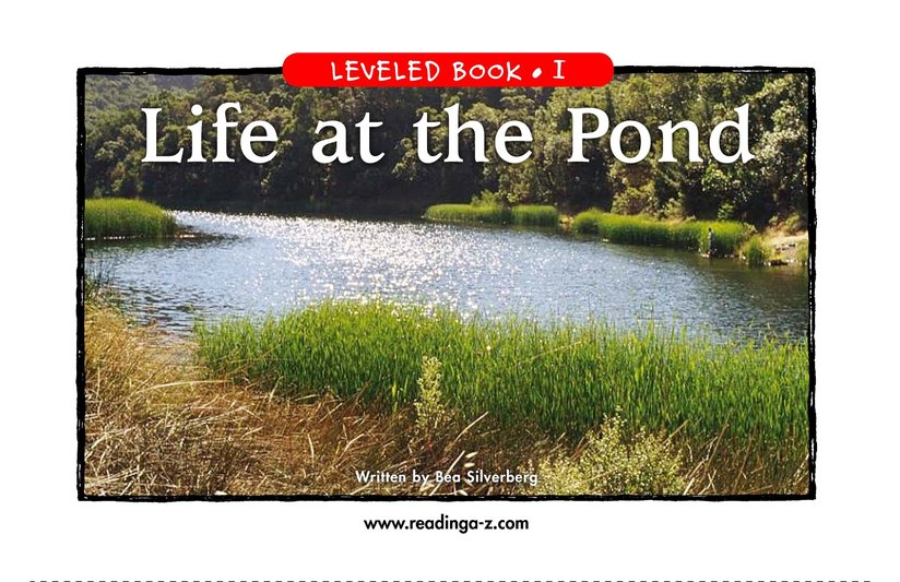 Life at the Pond