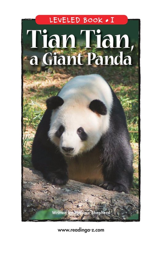 Tian Tian,a Giant Panda