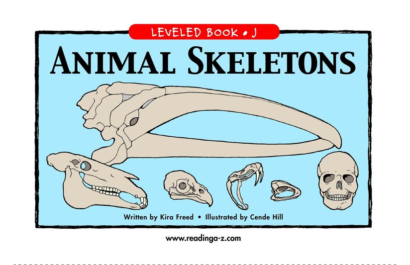 Animal Skeletons