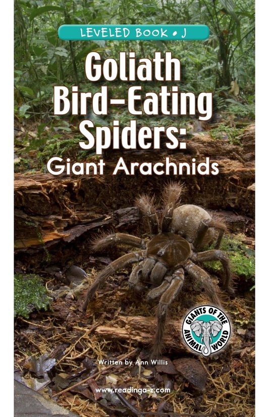 Goliath Bird-Eating Spiders Giant Arachnids