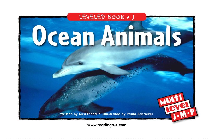 Ocean Animals