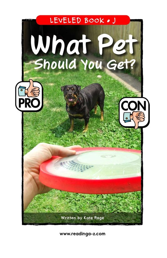 What Pet Should You Get