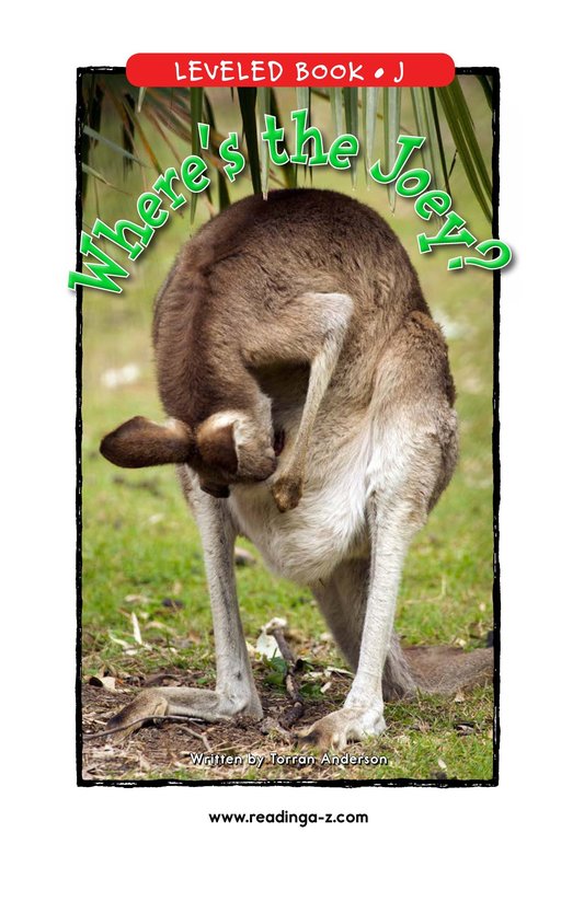 Where's the Joey