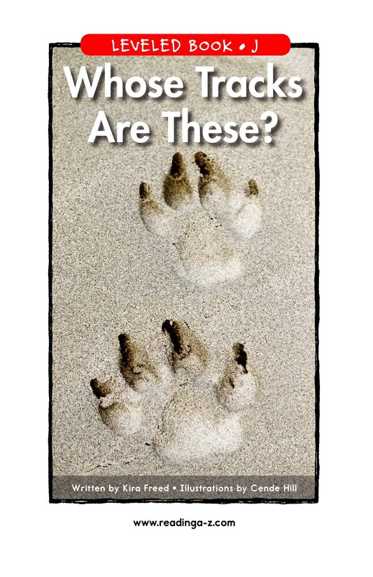 Whose Tracks Are These