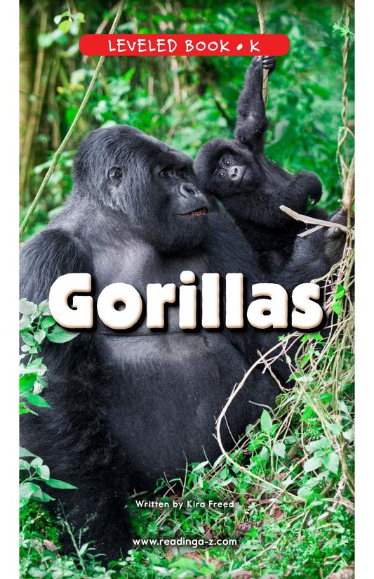 Gorillas
