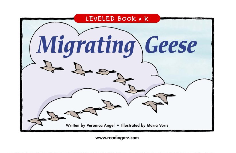 Migrating Geese