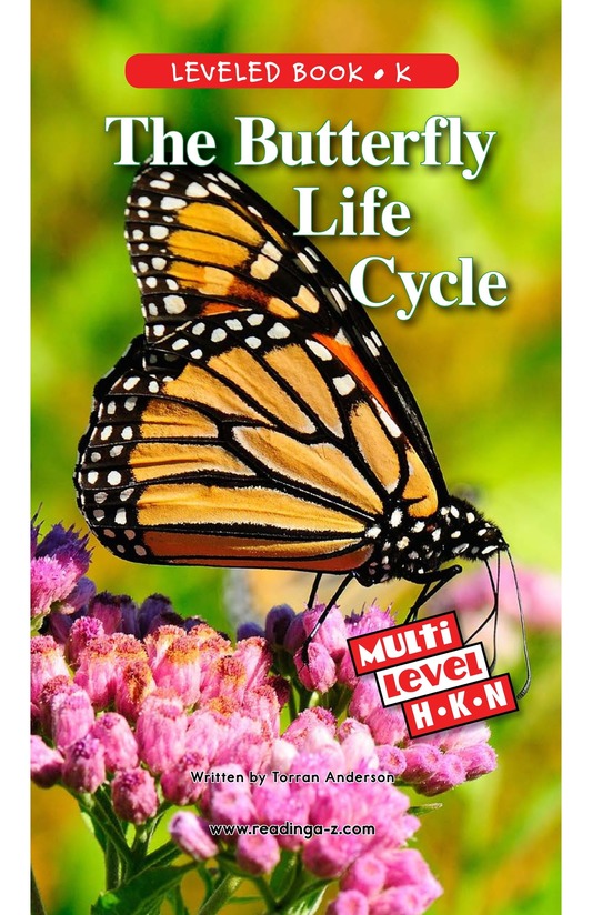 The Butterfly Life Cycle