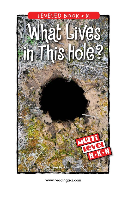 What Lives in This Hole