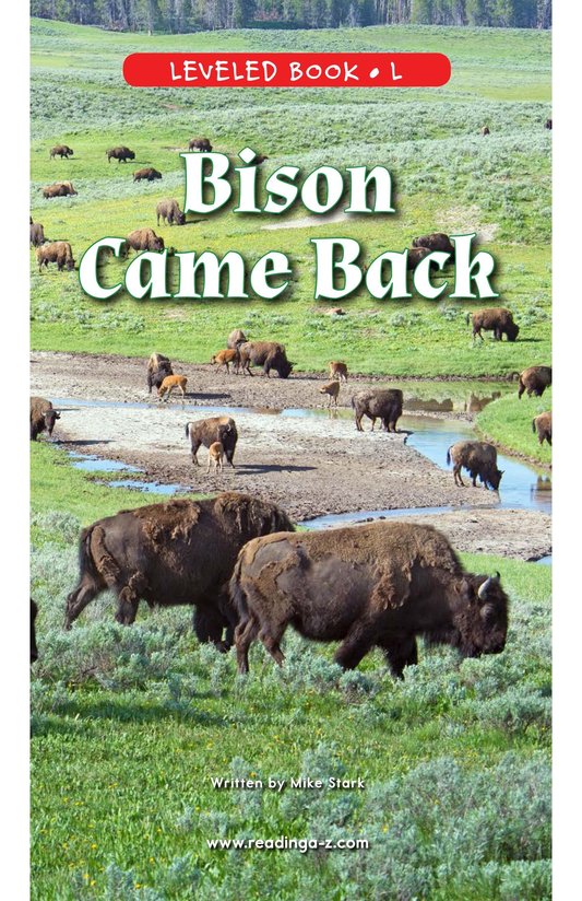 Bison Came Back