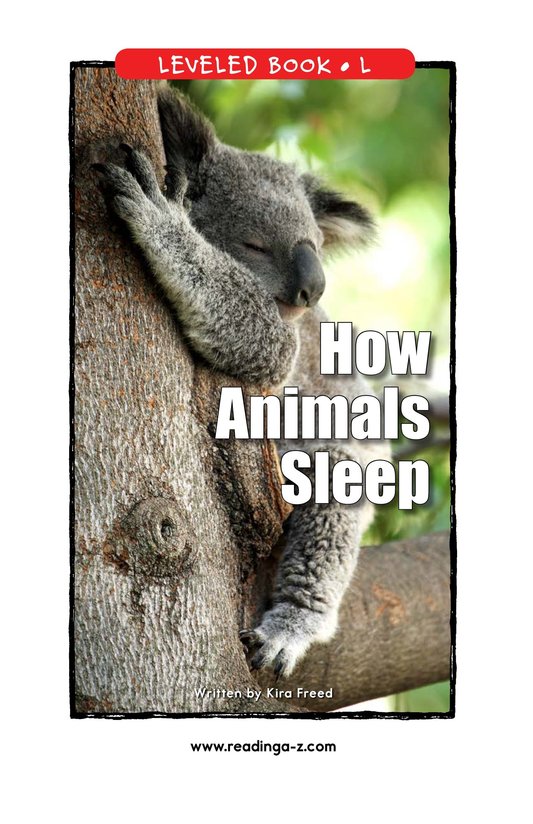 How Animals Sleep