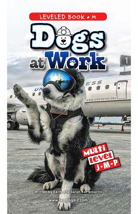 Dogs at Work