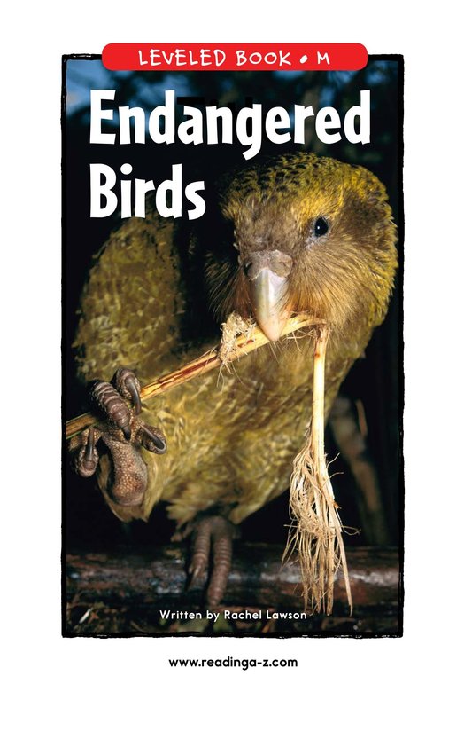 Endangered Birds