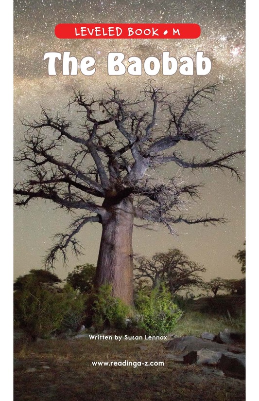 The Baobab