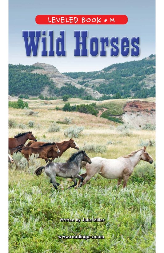 Wild Horses