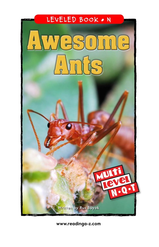 Awesome Ants