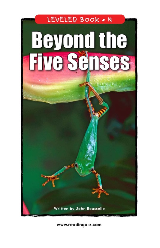 Beyond the Five Senses