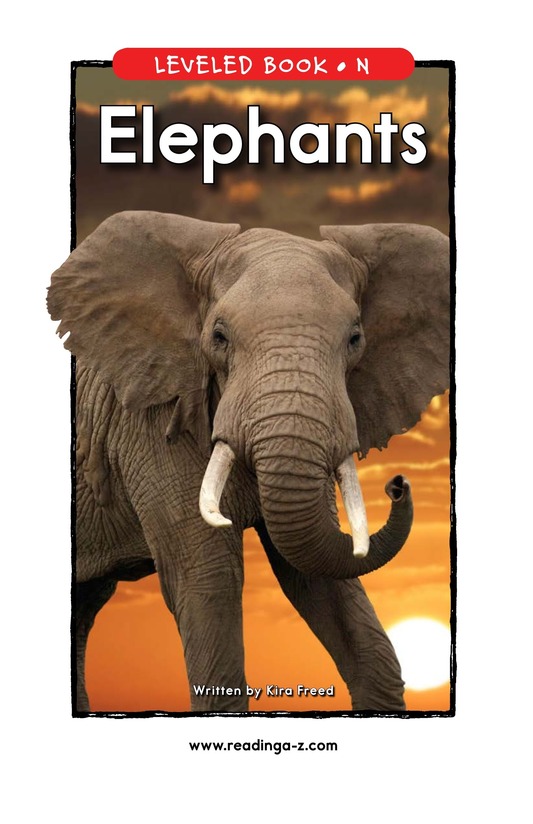 Elephants