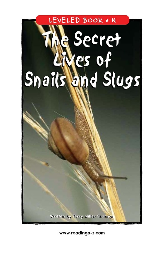 The Secret Lives of Snails and Slugs