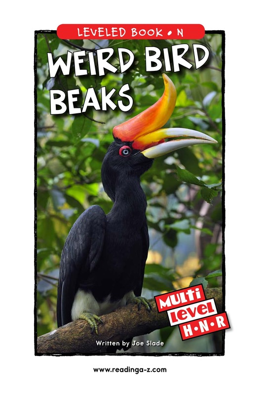 Weird Bird Beaks