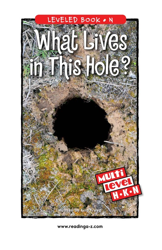 What Lives in This Hole