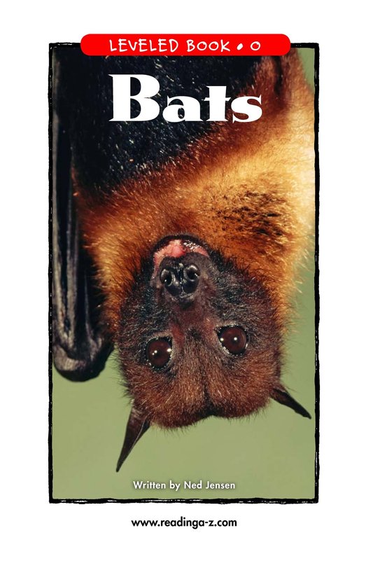Bats