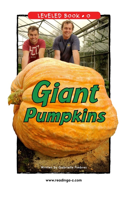 Giant Pumpkins