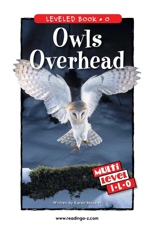 Owls Overhead