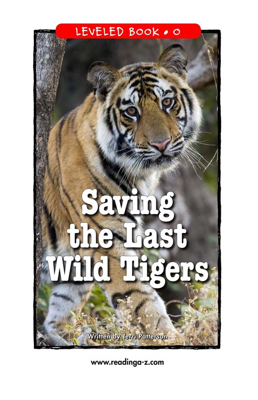 Saving the Last Wild Tigers
