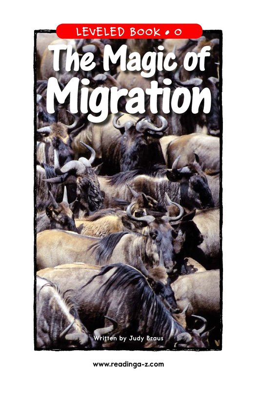 The Magic of Migration