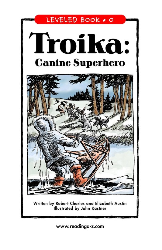 Troika Canine Superhero
